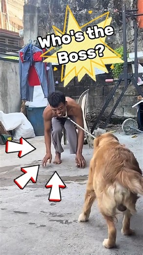 Plot Twist: Dog Is The Owner 🐶😂#funny #memes #animals #dog #shorts #shortvideo #short