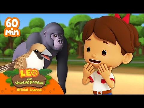 1 HOUR WITH ANIMALS OF ALL SIZES!! | Leo the Wildlife Ranger | Kids Cartoons | #compilation
