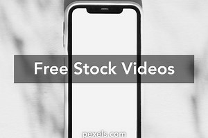 Phone Video Call Videos, Download The BEST Free 4k Stock Video Footage & Phone Video Call HD Video Clips