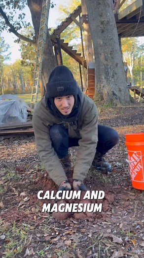 Do treehouses kill trees? | SouthernAdventures