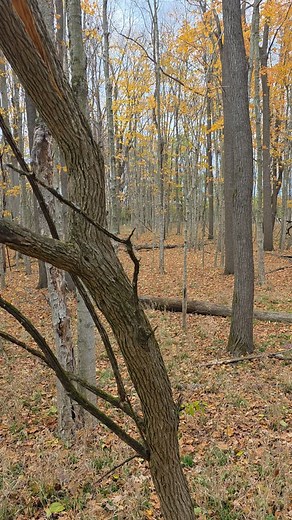 Love my jx3 hybrid saddle | Rob Gunderson