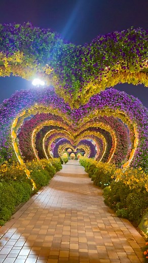1M views · 10K reactions | Beautiful Night of Dubai Miracle Garden | Ramudgar Yadav | Facebook