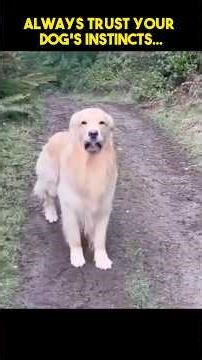 Always Trust Your Dog’s Instincts…