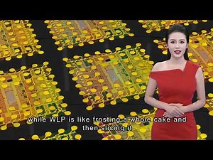 What is The Wafer-level packaging (WLP) and dlp fowlp?