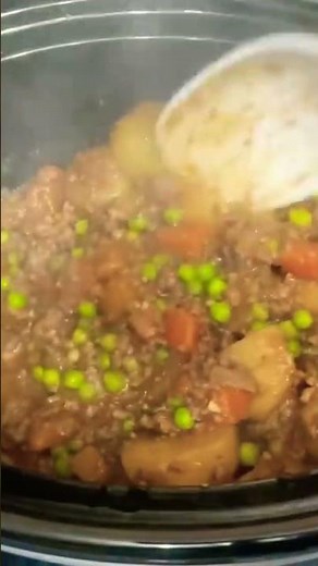 Slow cooker savoury minced beef & vegetables! Absolutely delicious and so easy 🙂 🏴󠁧󠁢󠁳󠁣󠁴󠁿
