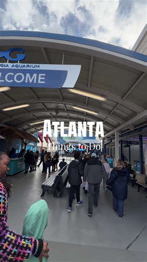 Discover the Georgia Aquarium in Atlanta