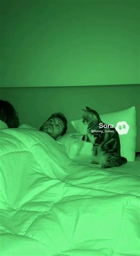 🤣 Snore Starts… Cat Ends It 😼🔇