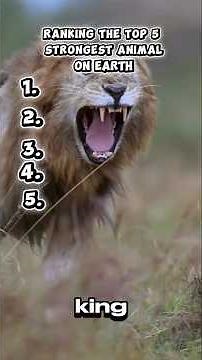 Ranking the strongest animal on earth 🌍 💪💪😱#animals #facts #strong