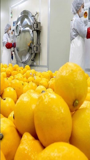 A process of drying fresh lemons using microwave technology.