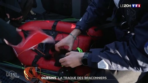 👮‍♂️👮 Nous sommes mobilisés partout. Le soir du Nouvel An, 90 000 forces de l’ordre étaient mobilisées afin de permettre à chacun de célébrer le passage à la nouvelle année en toute sécurité : immersion sur le terrain avec les policiers de Roubaix (59). ⚓ Embarquez également avec des policiers des Bouches-du-Rhône (13), chargés de contrôler la pêche aux oursins, et avec les CRS qui veillent à la sécurité des usagers de la route grâce aux contrôles de police. | Police Nationale