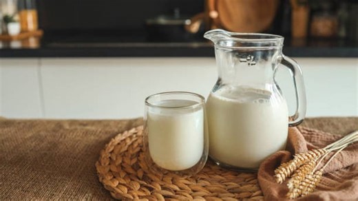 Lait Entier, Écrémé Ou Sans Lactose ? Découvrez Quel Type Vous Convient Le Mieux