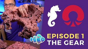 4.1K views · 34 reactions | CoralVue has teamed with Aquaforest, Reef...