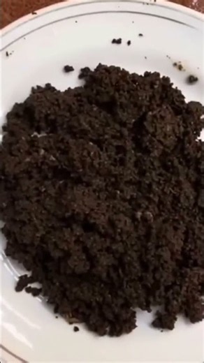 Best DIY Organic Fertilizer at Home