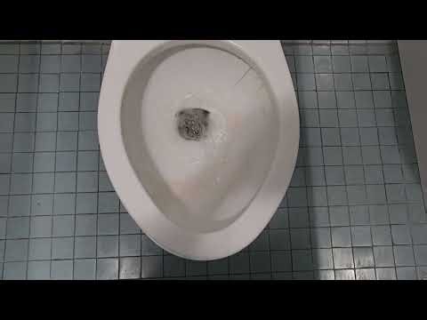 1987 Crane Plumbing Placidus Back Spud toilet 