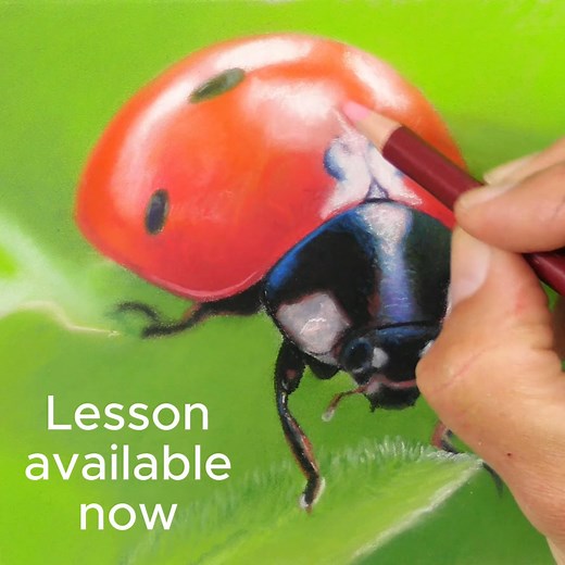 this nice and easy lesson is on my Patreon art site right now for you to try yourself. | Jason Morgan Wildlife Art