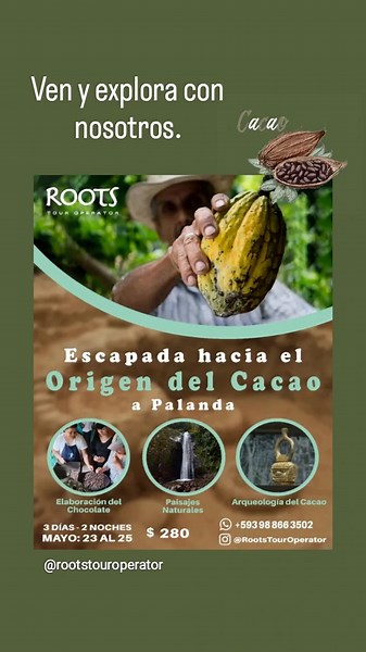 Embárcate en una experiencia inolvidable que te llevará a las raíces del cacao fino de aroma en la amazonía alta en el sur del Ecuador. Tres días llenos de historia, cultura, naturaleza y sabor, en un recorrido que despierta todos tus sentidos. 🗺️ Itinerario Detallado 📍 Día 1 – Rumbo al origen del Cacao Encuentro: 7h00 en el Parque de la Madre, Cuenca Viaje hacia Loja Almuerzo en Mama Lola – Deliciosa gastronomía típica lojana Continuación hacia *Vilcabamba* y recorrido por este místico valle 