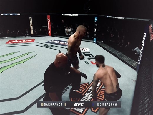 2nd Best BW Oat - Insight into MMA and UFC