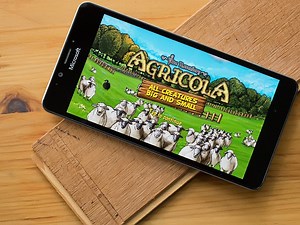 Farming board game Agricola is more complex that it lets on