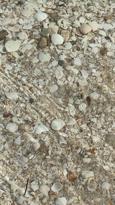 Mar cristalino en Chelem 😍 | Yucatán Hermoso