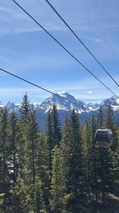 The Lake Louise Gondola is officially open for summer!🚡 Join us at the resort for gondola rides, sightseeing, dining, hiking, wildlife viewing and education! 🐻 The Gondola will be open from 9:00am to 5:30pm daily. We can’t wait to see you here soon! | The Lake Louise Ski Resort & Summer Gondola