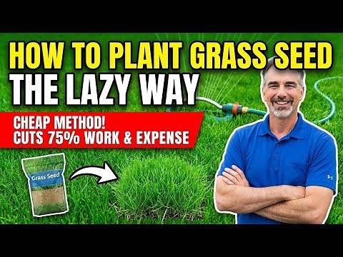 How To Plant Grass Seed – Cheap & Easy Way To Plant Grass Seed With The Least Amount Of Work
