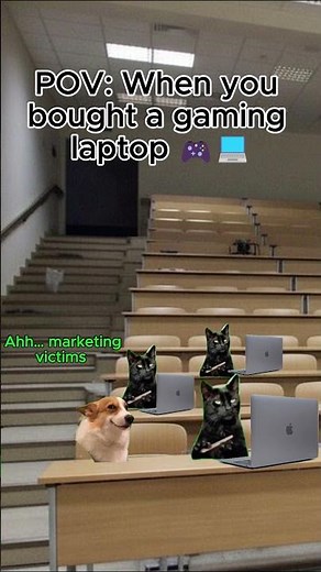 "Cat-mania: Top Furry Fun Memes"-2 #memes #animation #funny #comedy #games #cartoon #boboiboy