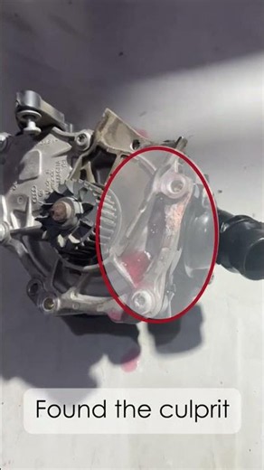 Volkswagen Beetle losing coolant?