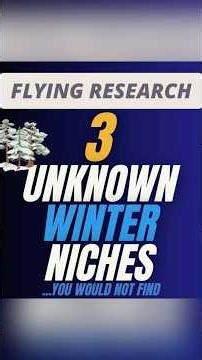 Discover 3 Unknown Winter Topics for Print on Demand with Flying Research! ❄️ #printondemand #niches