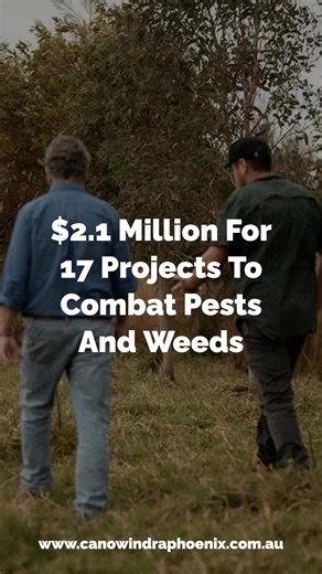 Mr Stephen Lawrence, Duty MLC for the Electorates of Barwon, Bathurst, Coota­mundra, Dubbo and Orange, has wel­comed the Minns Labor Government’s allocation of $2.1 million across 17 new projects to tackle pests and weeds across the state. https://www.canowindraphoenix.com.au/2-1-million-for-17-projects-to-combat-pests-and-weeds | The Canowindra Phoenix