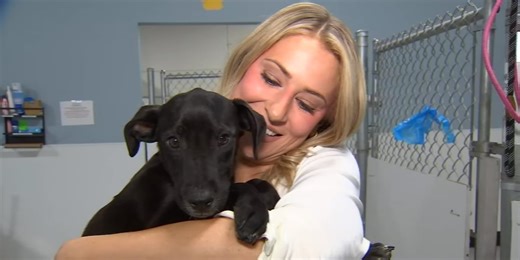 Pups at Oregon Dog Rescue looking for foster homes this holiday season