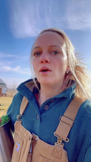 Self-Sufficient Living: Homesteading, Farming, and Dating