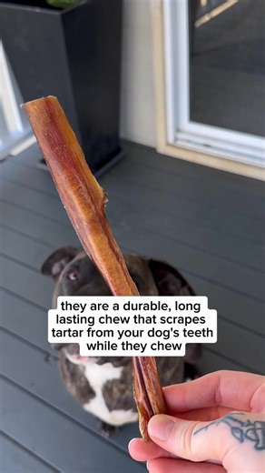 20K views · 83 reactions | Pet Snacks® dental chews are tough,...