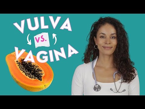 Your intimate area: Everything about the vulva, clitoris, and more! | DR. FLOJO