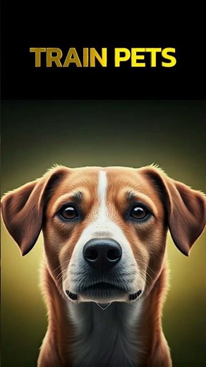 Dog Sounds to Train Your Pet