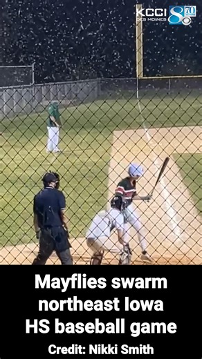 165K views · 387 reactions | Clayton Ridge and Kee played through a massive mayfly swarm last night in far northeast Iowa. Story: https://t.ly/BWOTv | KCCI | Facebook
