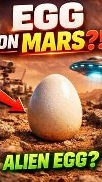 Alien Egg on Mars? Here’s the Truth