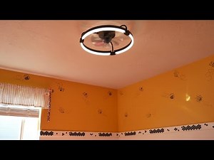 LEDIARY Ceiling Fans with Lights and Remote Review