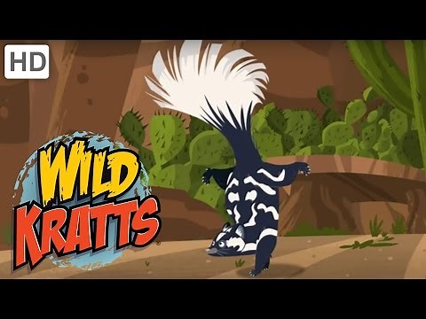 Wild Kratts - You Have Been Skunked!