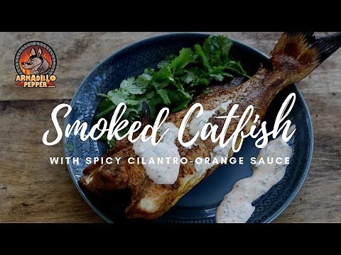 Smoked Catfish in the Masterbuilt Smoker