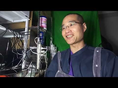 部落探訪動画を削除されてしまいました＆今後の予定