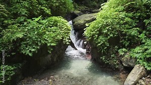 Taiwan Jiaoxi Linmei Shipan Trail - The river is very clear, the water flows quickly from the riverbed over the rocks and down the river. The moss and ferns next to it are very green.