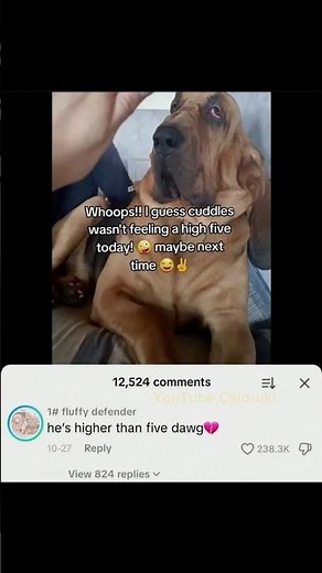The last one 🥀 #slideshow #memes #dankememes #funny #humor #shorts
