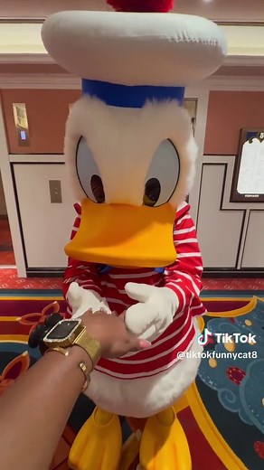 Funny Donald Duck and Daisy at Disneyland!