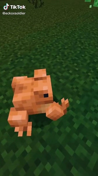 Minecraft Update: Frogs and Tadpoles Explained