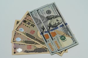 Managing Foreign Exchange Reserves for Economic Stability