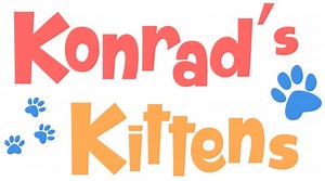 Another VR Gaming Review: Konrad's Kittens
