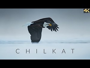 Chilkat
