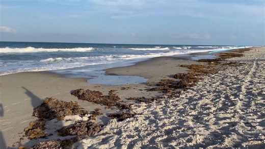 New advice on how to escape rip currents