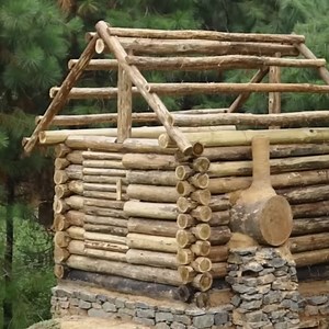 1.6M views · 10K reactions | Surviving solo in the jungle? No problem ️ #junglesurvival | Viral Actor | Facebook