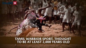 What is #JalliKattu? What is the whole controversy all about? Here is an explainer video to decode it. | News18